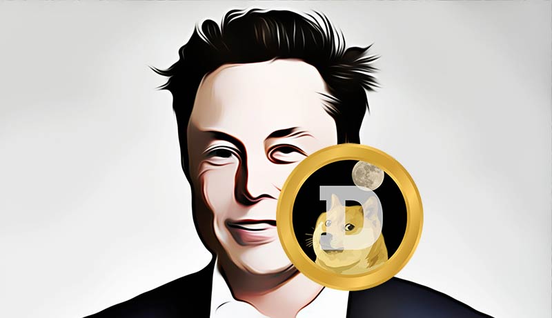 Elon Musk crypto kopen